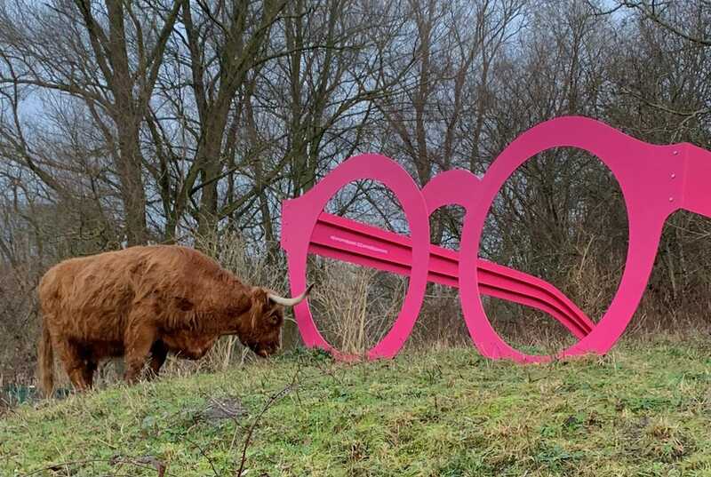giant%20pink%20glasses%20highlanders%20a.jpeg