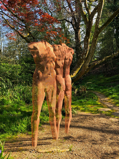 'ICONII_ David Begbie, Bronze Mesh.jpeg