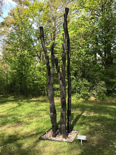 René Düsel (Foto René Düsel)2.jpg