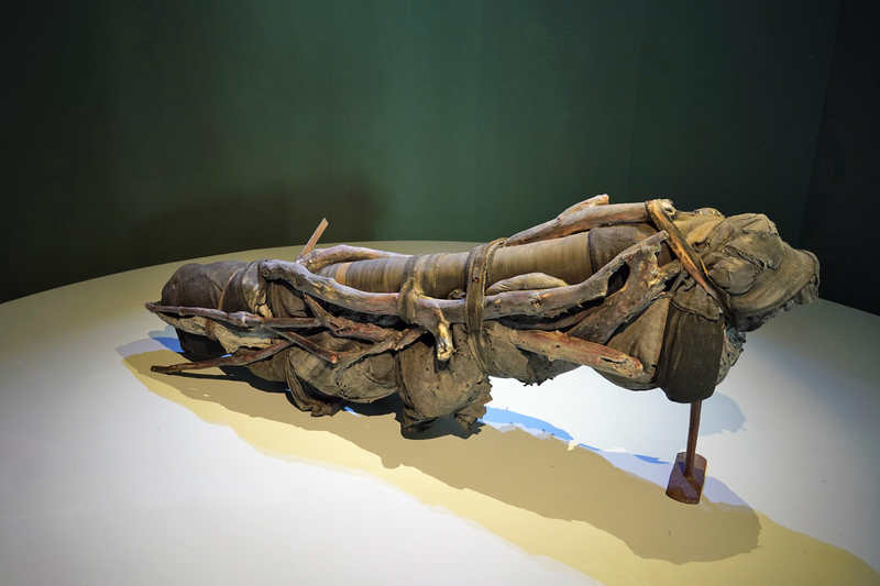 Rettet den Wald! Red het bos! Museum Het Valkhof, Berlinde de Bruyckere, Kreupelhout, 2  Foto Flip Franssen.jpg
