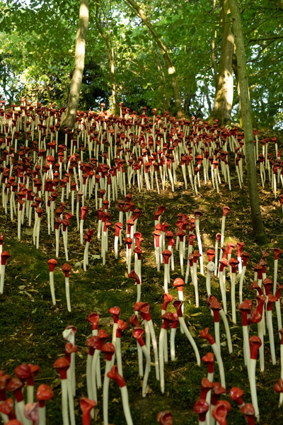 Riëlle Beekmans 'Kusjes'.jpg