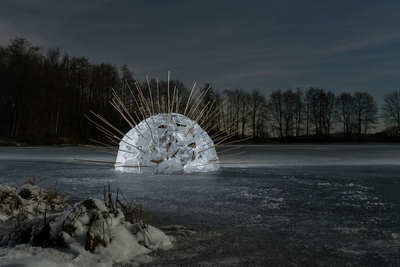 sn_NL 1812_Frank Nordiek Wolfgang Buntrock_Eisvirus_1.jpg