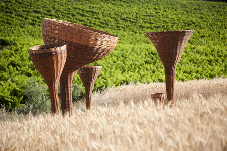 Lucía Loren, Matriz de agua [Water matrix], 2017. Wickerwork intervention, variable dimensions. Photo: Lucía Loren