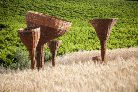 Lucía Loren, Matriz de agua [Water matrix], 2017. Wickerwork intervention, variable dimensions. Photo: Lucía Loren
